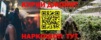 МДПВ Бердск