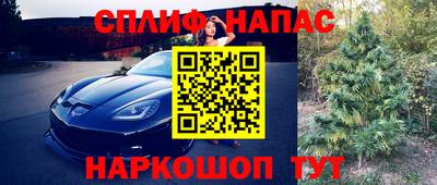 крисы Белорецк