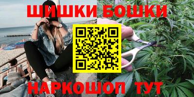 МДПВ Бердск