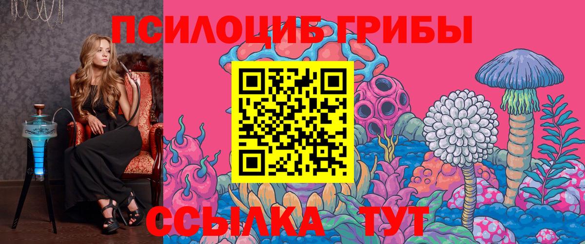 Псилоцибиновые грибы мицелий  где купить наркоту  Белорецк  Вход с VPN 